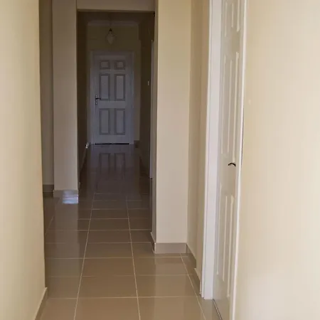 Rengarenk & Istambul